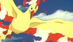 Moltres, Legends of the Multi Universe Wiki