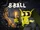 8 Ball