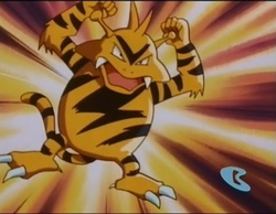 Electabuzz, Wiki