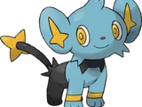 Shinx