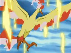 Moltres, Legends of the Multi Universe Wiki