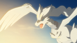 Reshiram and Zekrom Short: Cookies MiracleTourDeForce