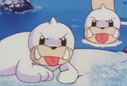 Seel, Wiki