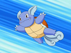 Squirtle, Legends of the Multi Universe Wiki