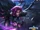 Maeve