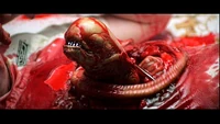 Xenomorph chestburster emerging from birth, eating through all the bone and flesh of the hosts body as it moves out to start a new life of terror for its enemies.