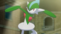 250px-Carl Gallade