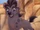 Jasiri