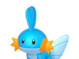 Mudkip