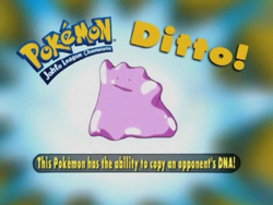 Double move Ditto is just two transforms 🤔 : r/PokemonQuest