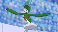 Gallade pose