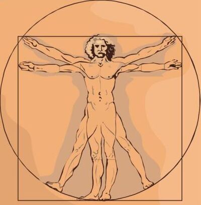 Davinci human-sketch32.jpg