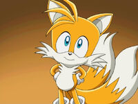 Tails cute look up