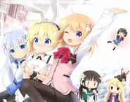 KINMOZA and Is the Order A Rabbit Crossover