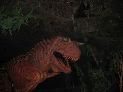 Carnotaurus (Robustus floridaensis), Disney Parks Wiki