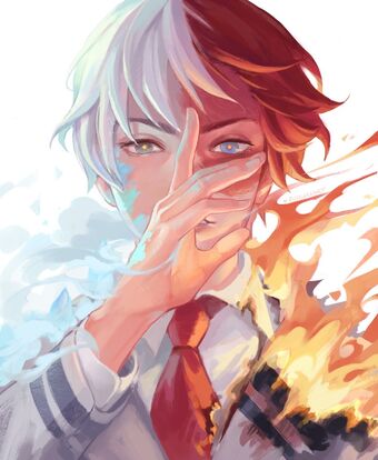 Todoroki.Shouto.full.2214793