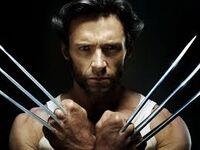 Wolverine