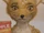 Agnes (Fantastic Mr. Fox)