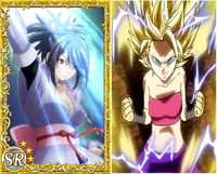 "Sheena Fujibayashi and Caulifla"