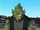 Drago