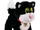 Jess the Cat