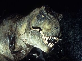 JP Trex