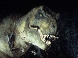 Tyrannosaurus rex (InGen Clones)