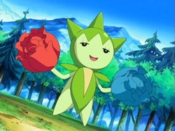 アニメ Roselia Roselia (band) - Wikipedia
