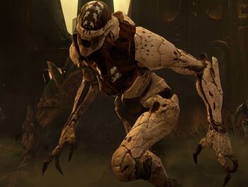 Thrall1