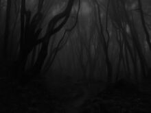545px-Shadowhome.jpg