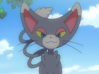 Screenshot 2019-09-28 glameow - Google Search(6)