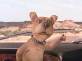 Scrappy-Doo (live action film)