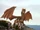 Draco the Dragon