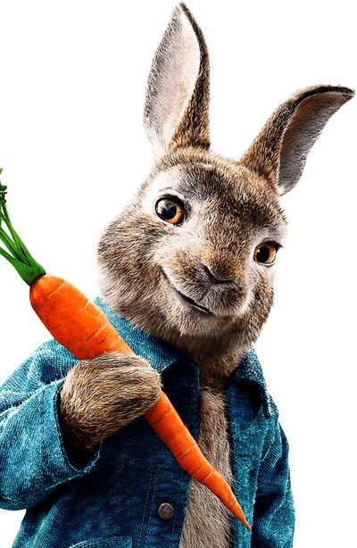 Peter Rabbit.jpeg