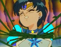 Sailor mercury hurt eternal