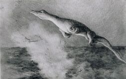 U-28 monster