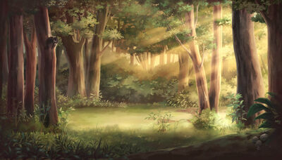 Light-forest-illustration 141465-23.jpg