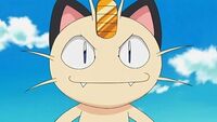 Meowth