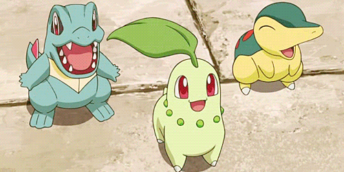 photo Totodile Cyndaquil And Chikorita Fight legends of the multi universe wiki