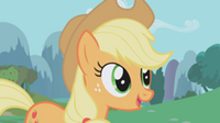 300px-Applejack 4