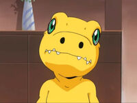 Agumon-Savers