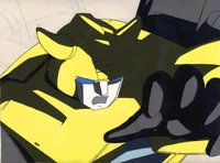 Unnamed3 bumblebee.jpg (51 KB)