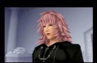 Marluxia speaks