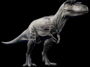 Albertosaurus_JWE_Sound_Effects