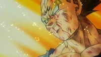 "Trunks, Bulma, I do this for you...and yes, even for you, Kakarot!"