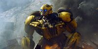 Bumblebee9-1