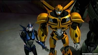Unnamed0 bumblebee.jpg (47 KB)