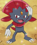 Weavile salute