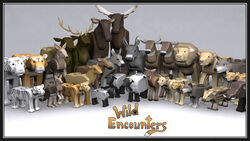 Wild.jpg