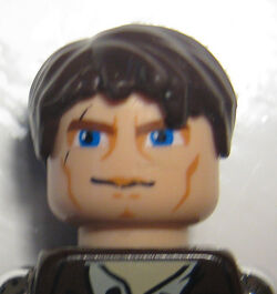 Skello head.jpg